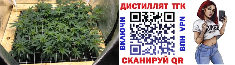 ТГК Wax  Купить где  Раменское 