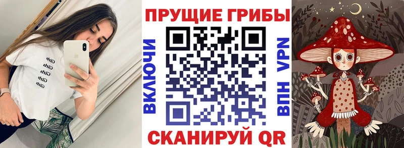 Купить закладки  Раменское  Галлюциногенные грибы мухоморы 